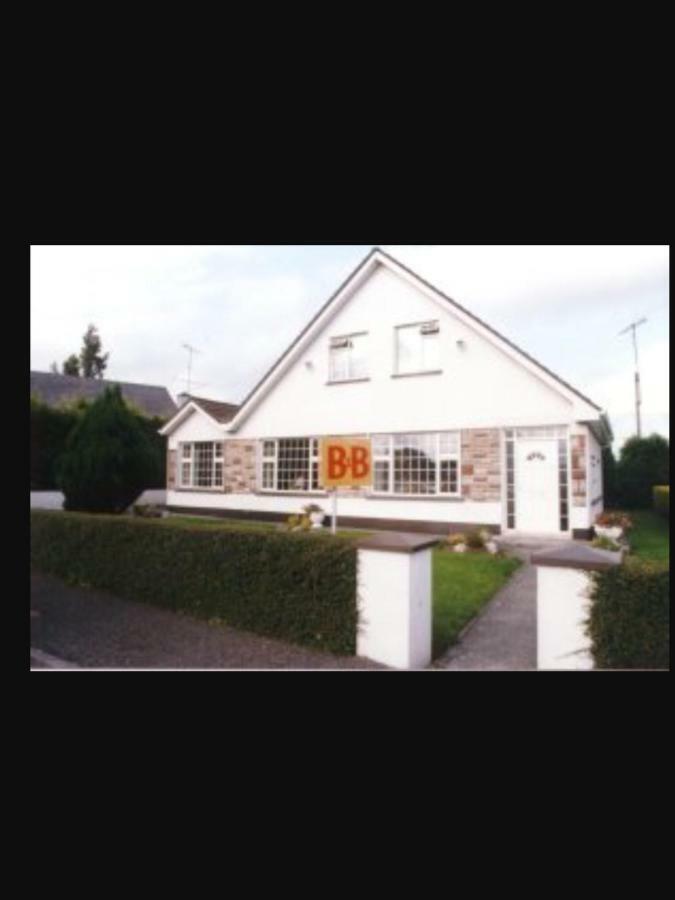 לינה וארוחת בוקר רוסקומון Riverside House מראה חיצוני תמונה